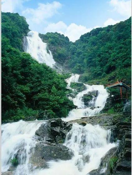 模拟山羊
